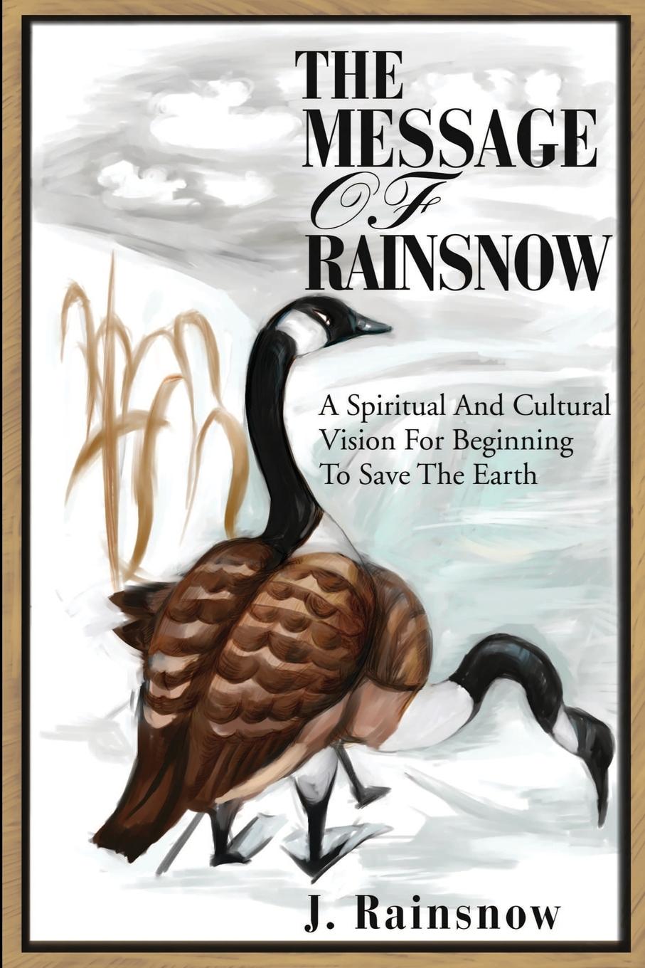 Vorderes Coverbild The Message of Rainsnow