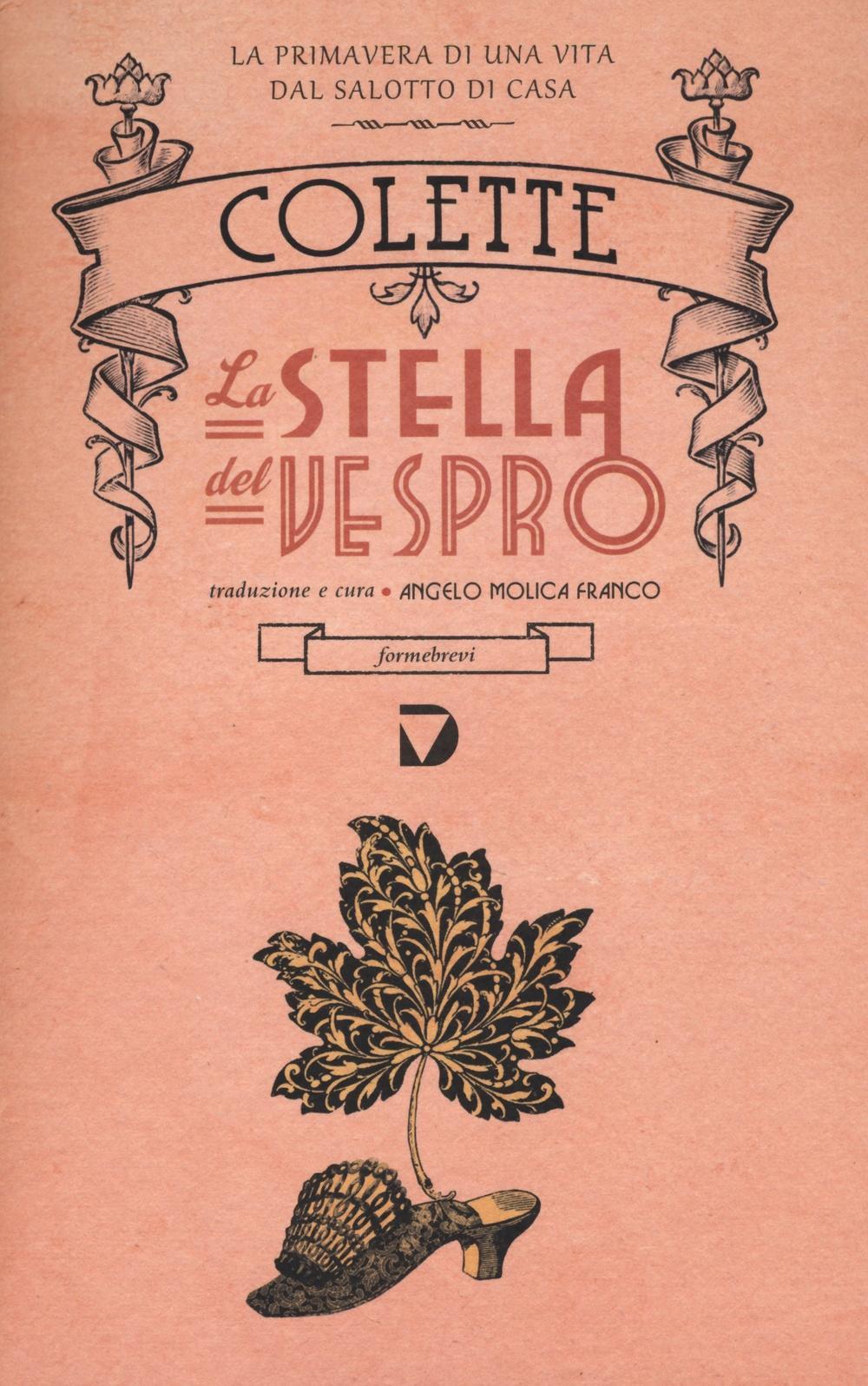 Vorderes Coverbild La stella del vespro
