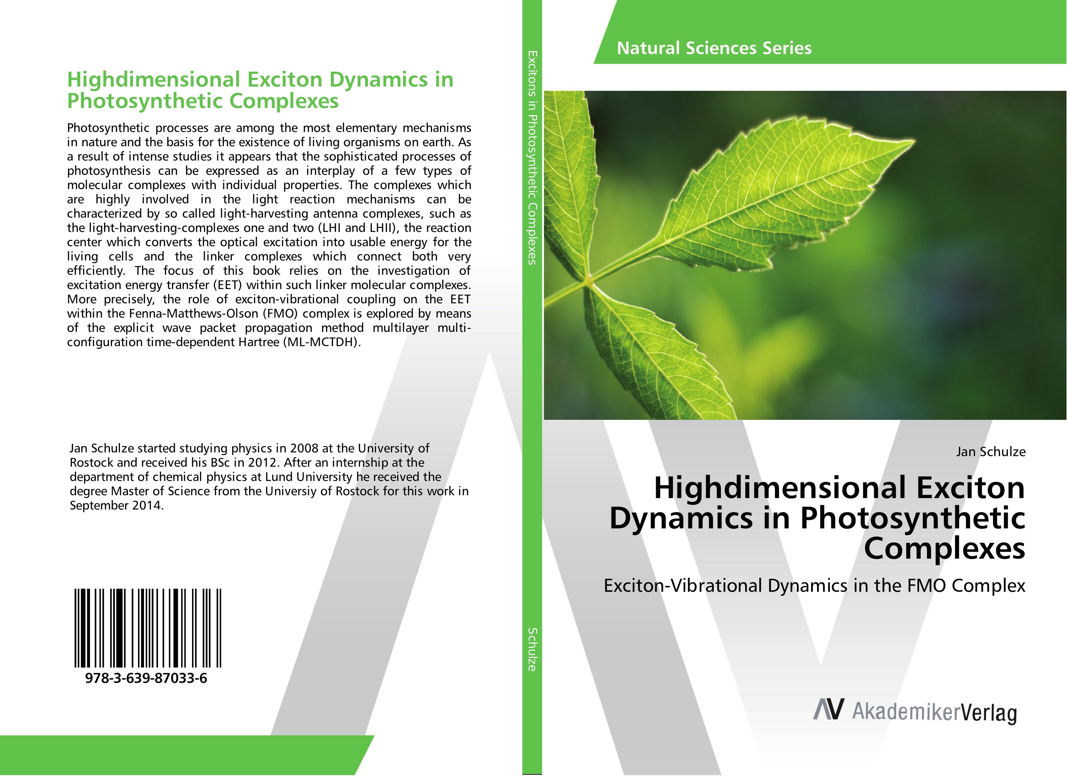 Vorderes Coverbild Highdimensional Exciton Dynamics in Photosynthetic Complexes