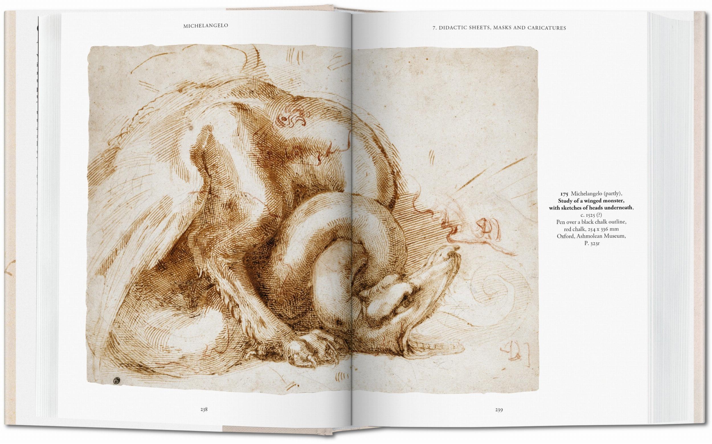 Beispielinhalt (Bild) Michelangelo. Das zeichnerische Werk