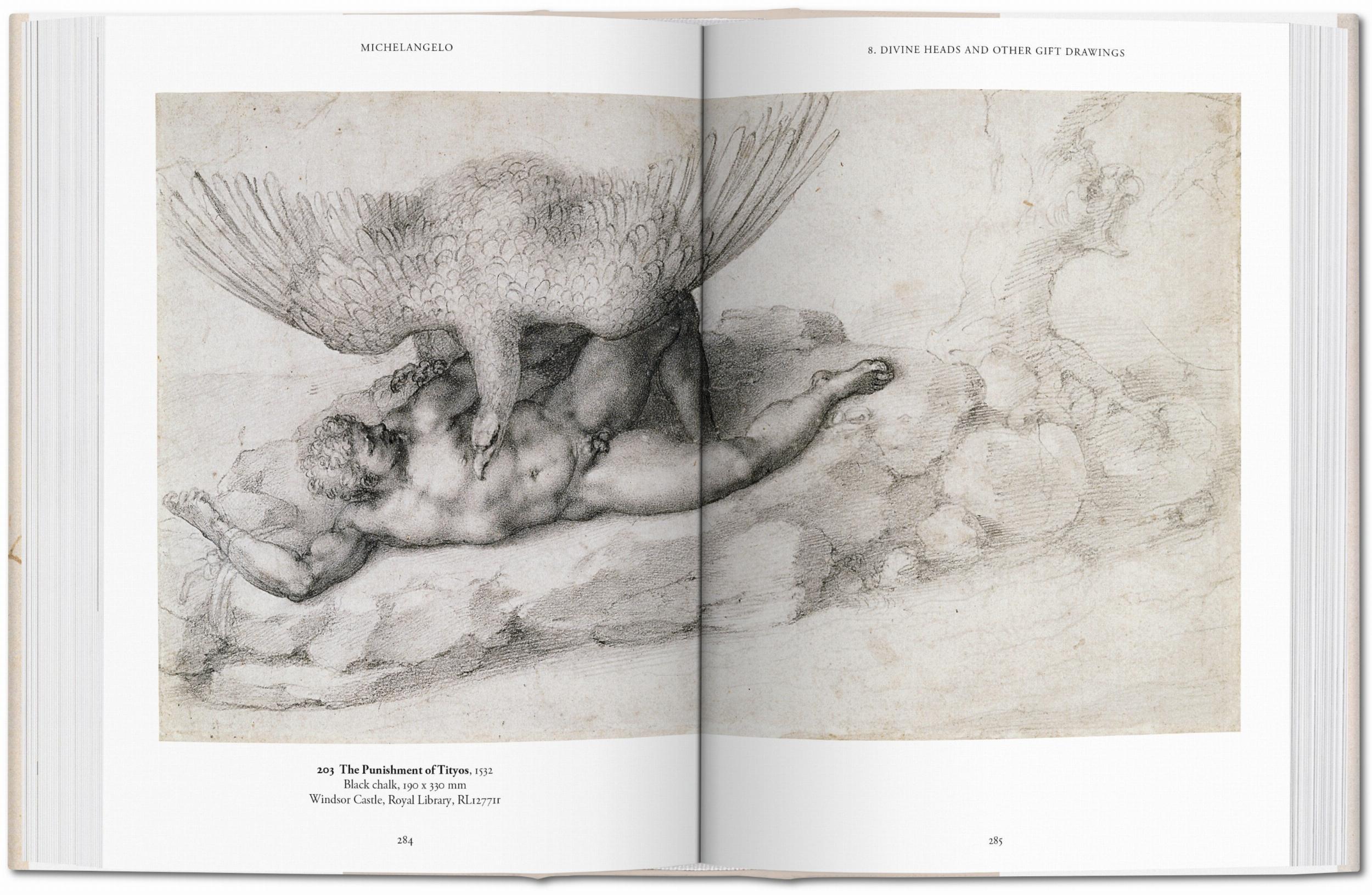 Beispielinhalt (Bild) Michelangelo. Das zeichnerische Werk