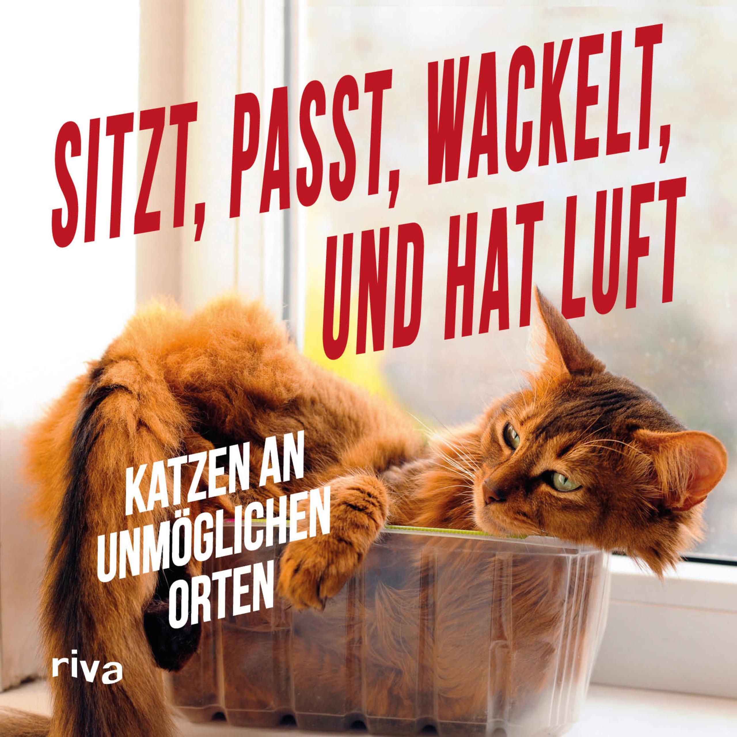 Vorderes Coverbild Sitzt, passt, wackelt und hat Luft