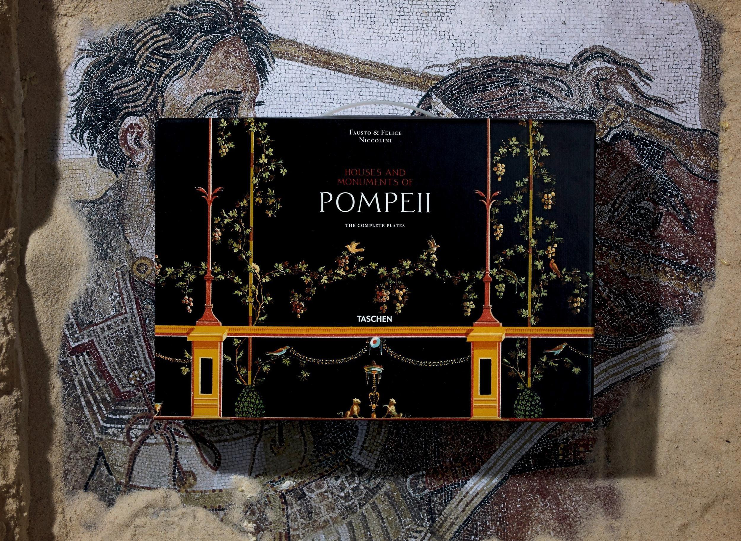 Beispielinhalt (Bild) Fausto & Felice Niccolini. Houses and Monuments of Pompeii