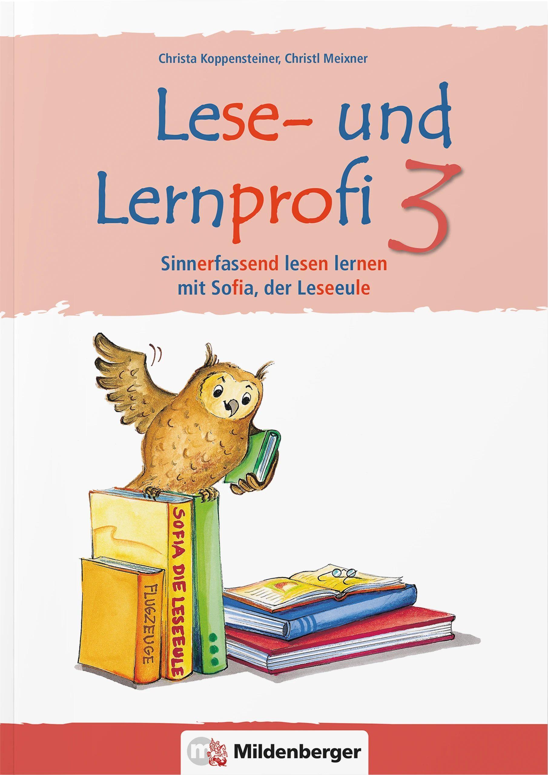 Vorderes Coverbild Lese- und Lernprofi 3 NEU - Schülerarbeitsheft - silbierte Ausgabe