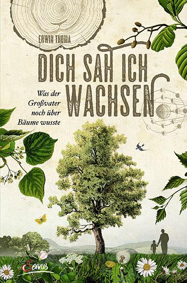 Vorderes Coverbild Dich sah ich wachsen