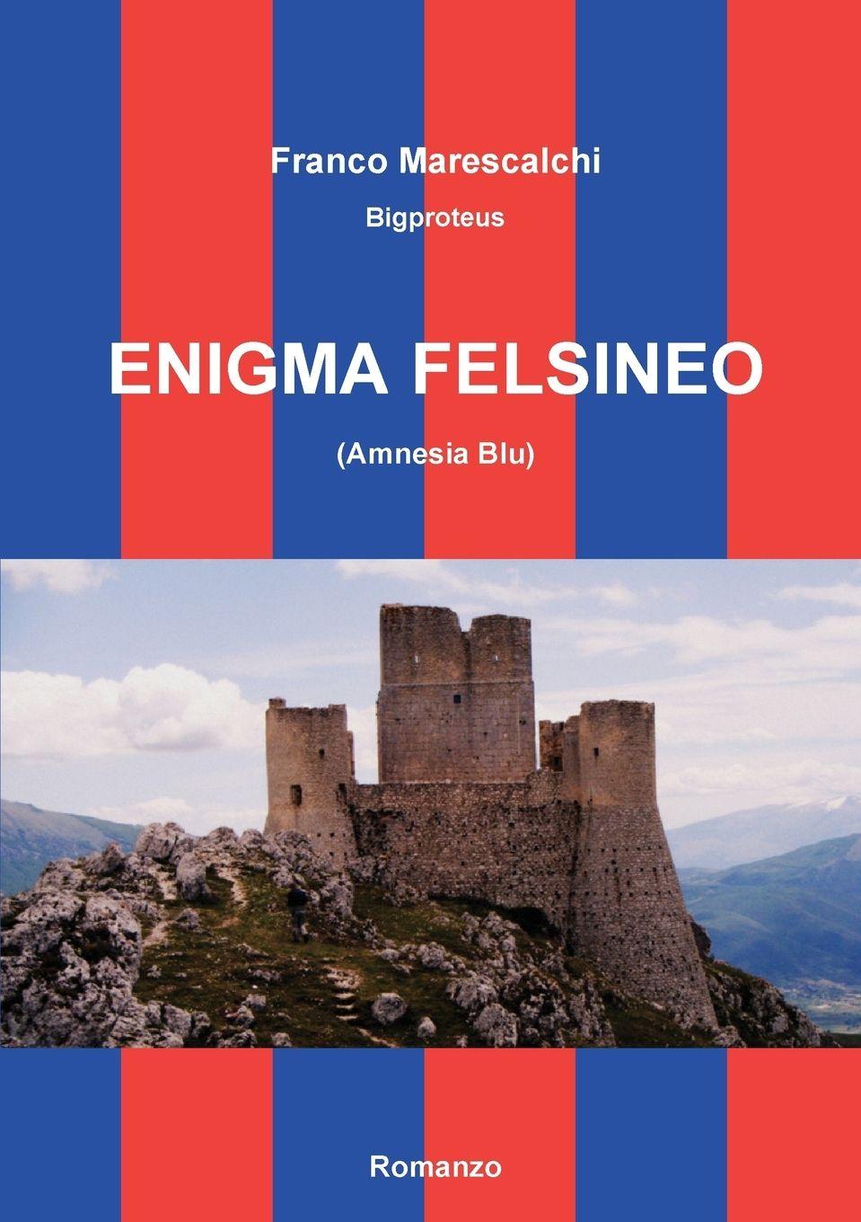 Vorderes Coverbild Enigma felsineo