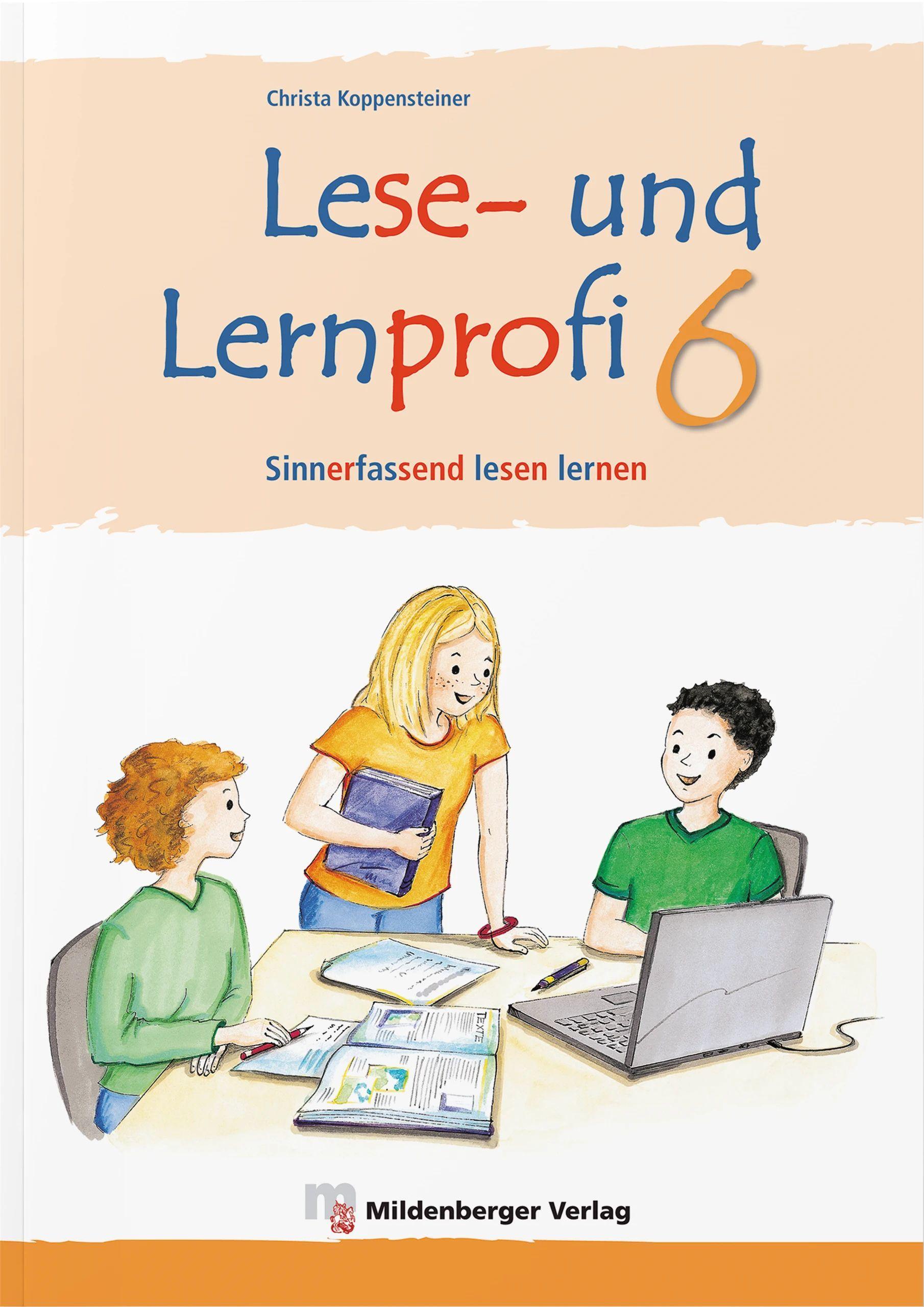 Vorderes Coverbild Lese- und Lernprofi 6 - Schülerarbeitsheft - silbierte Ausgabe