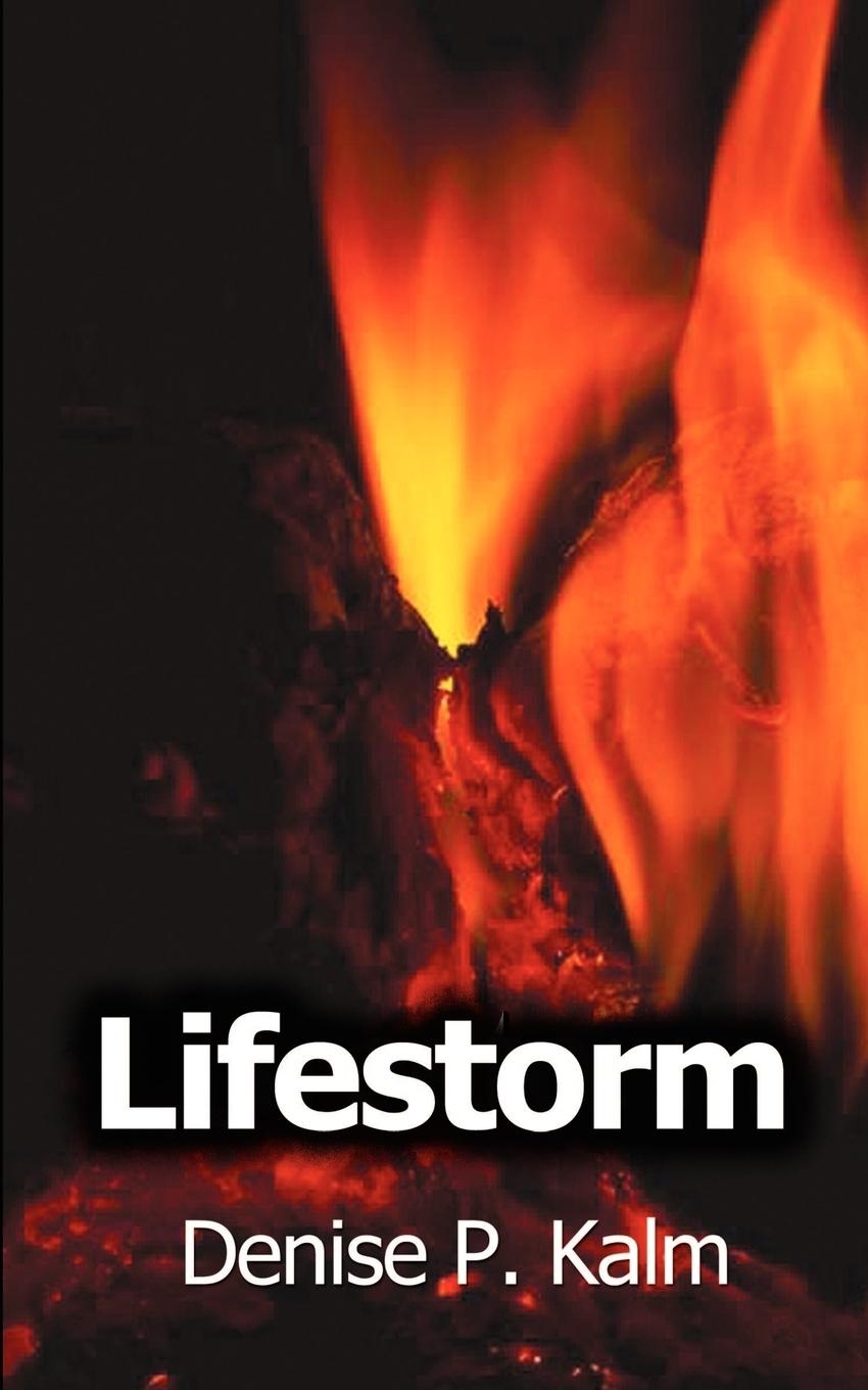 Vorderes Coverbild Lifestorm