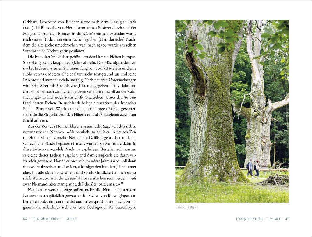 Beispielinhalt (Bild) 50 sagenhafte Naturdenkmale in Mecklenburg-Vorpommern