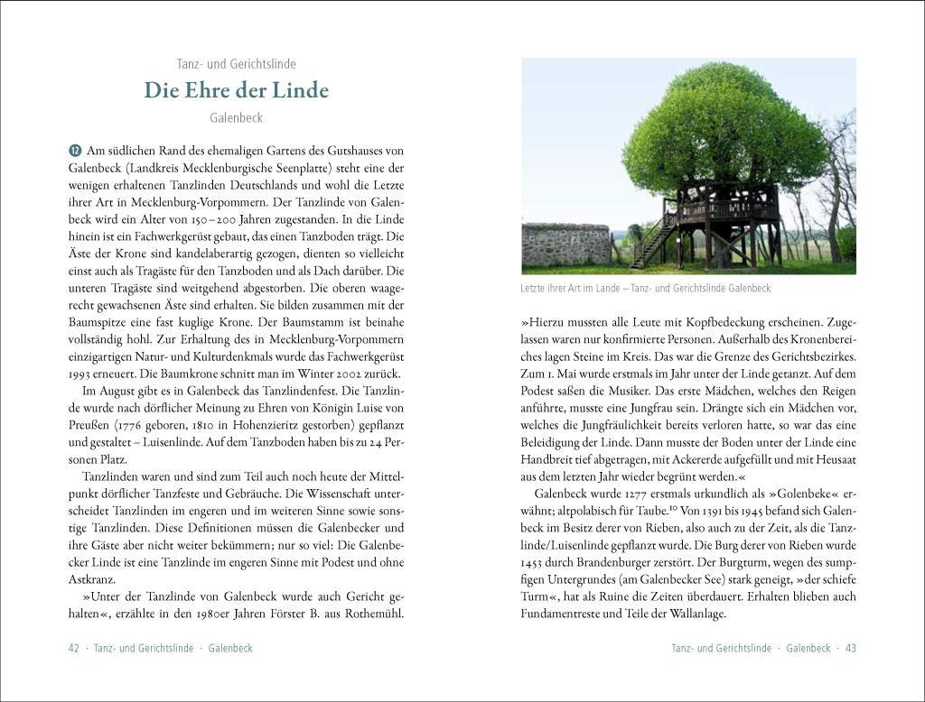 Beispielinhalt (Bild) 50 sagenhafte Naturdenkmale in Mecklenburg-Vorpommern