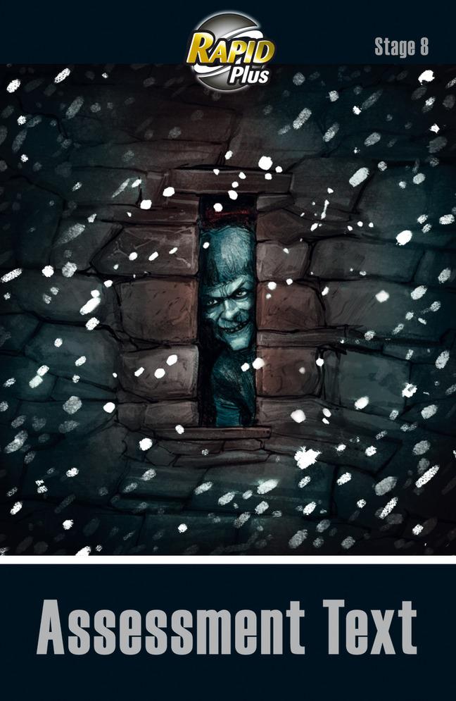 Vorderes Coverbild RapidPlus Assessment Book Stage 8