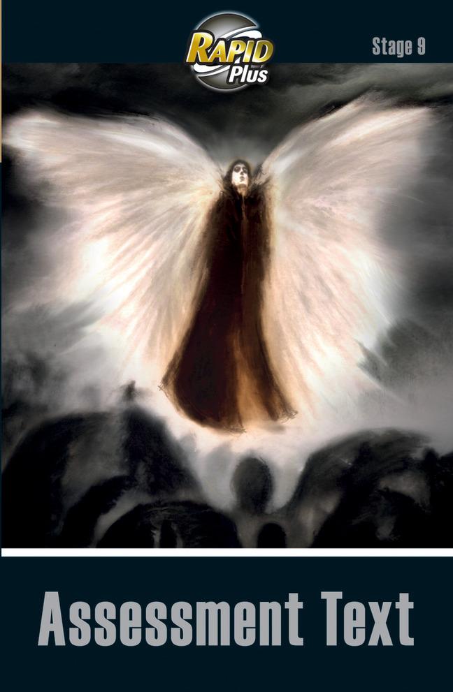 Vorderes Coverbild RapidPlus Assessment Book Stage 9