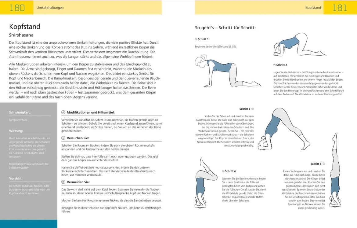 Beispielinhalt (Bild) Die Anatomie des Yoga
