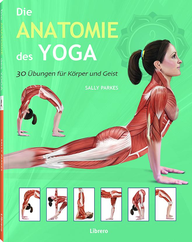 Vorderes Coverbild Die Anatomie des Yoga