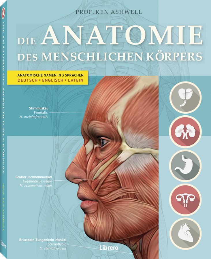 Vorderes Coverbild Der Menschliche Körper