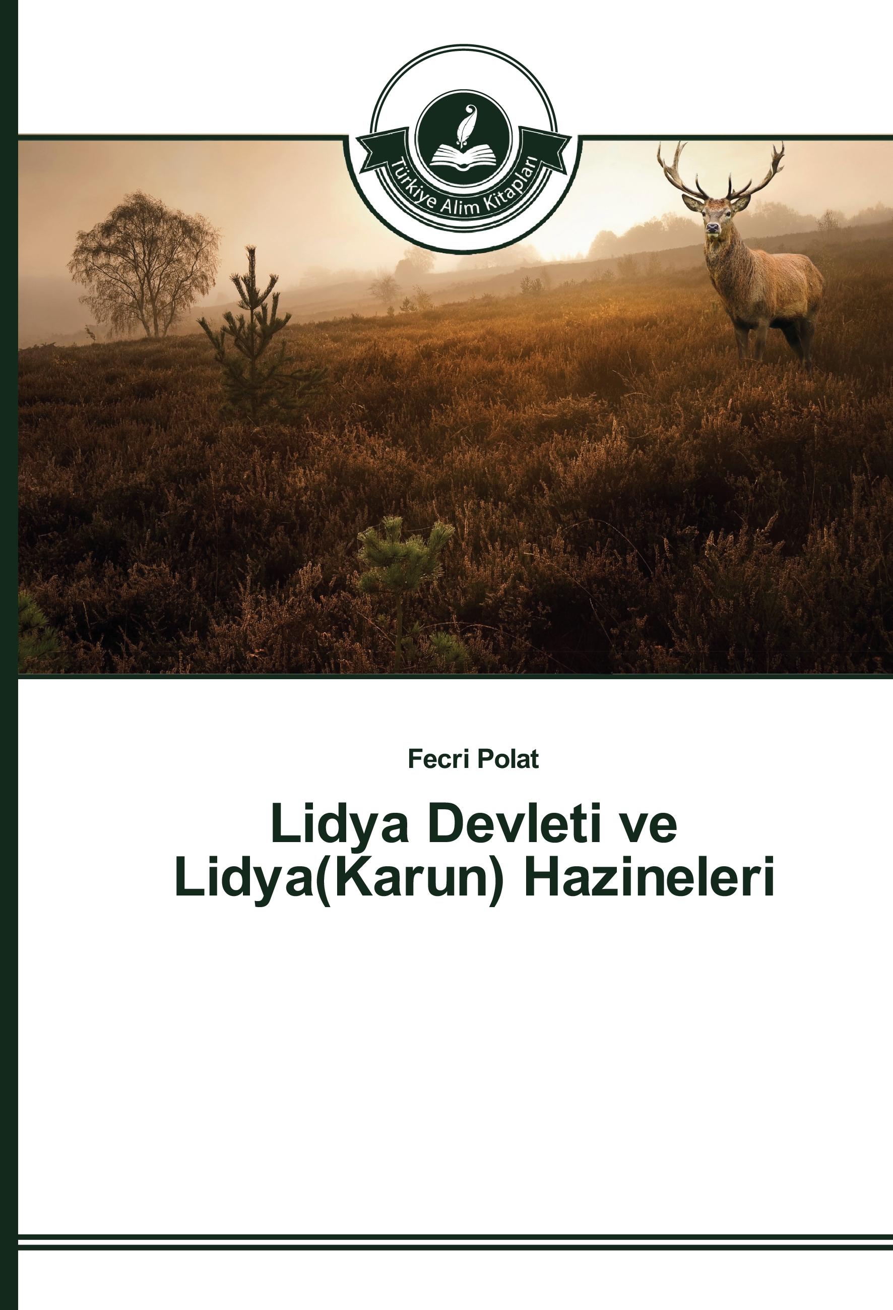 Vorderes Coverbild Lidya Devleti ve Lidya(Karun) Hazineleri