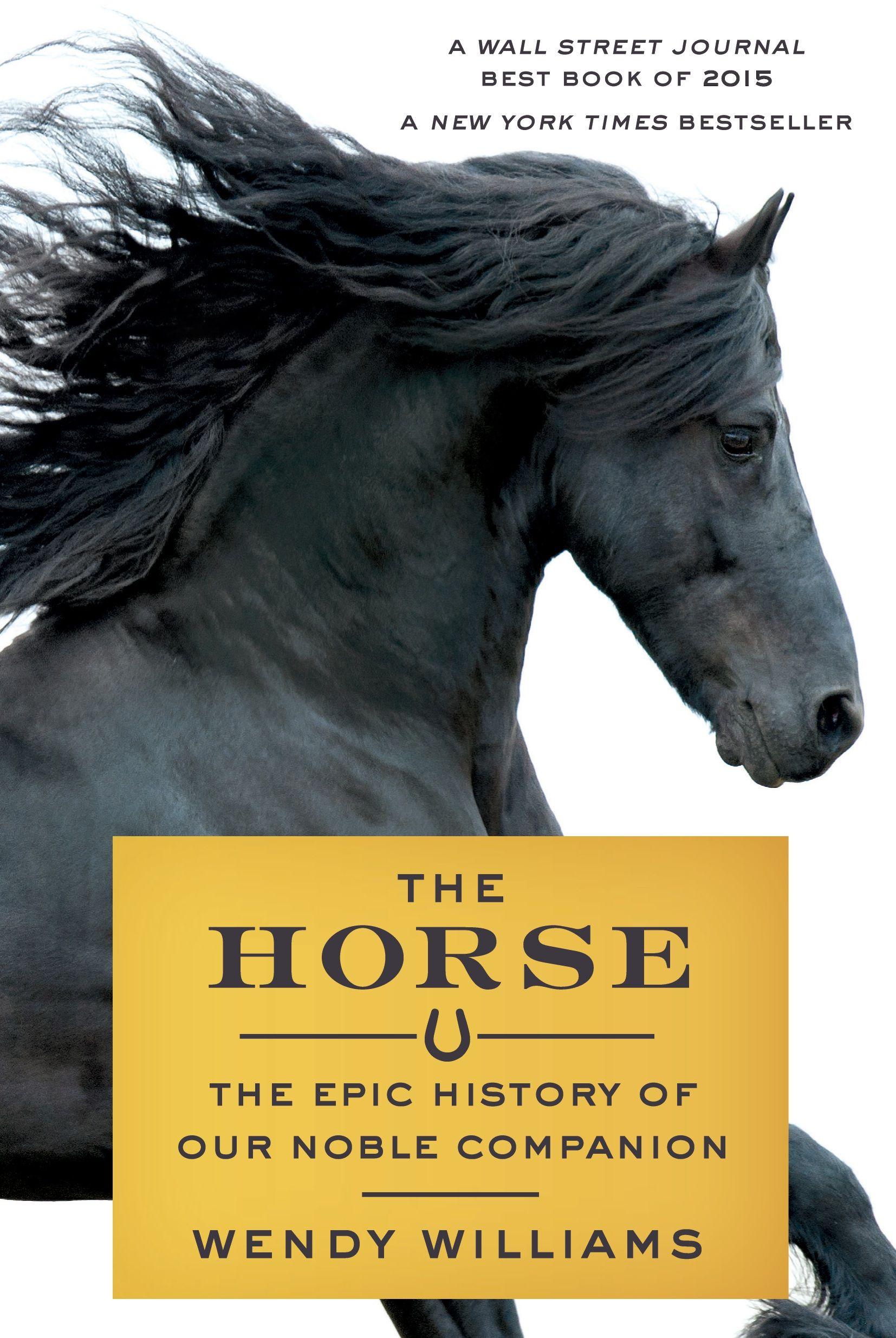 Vorderes Coverbild Horse
