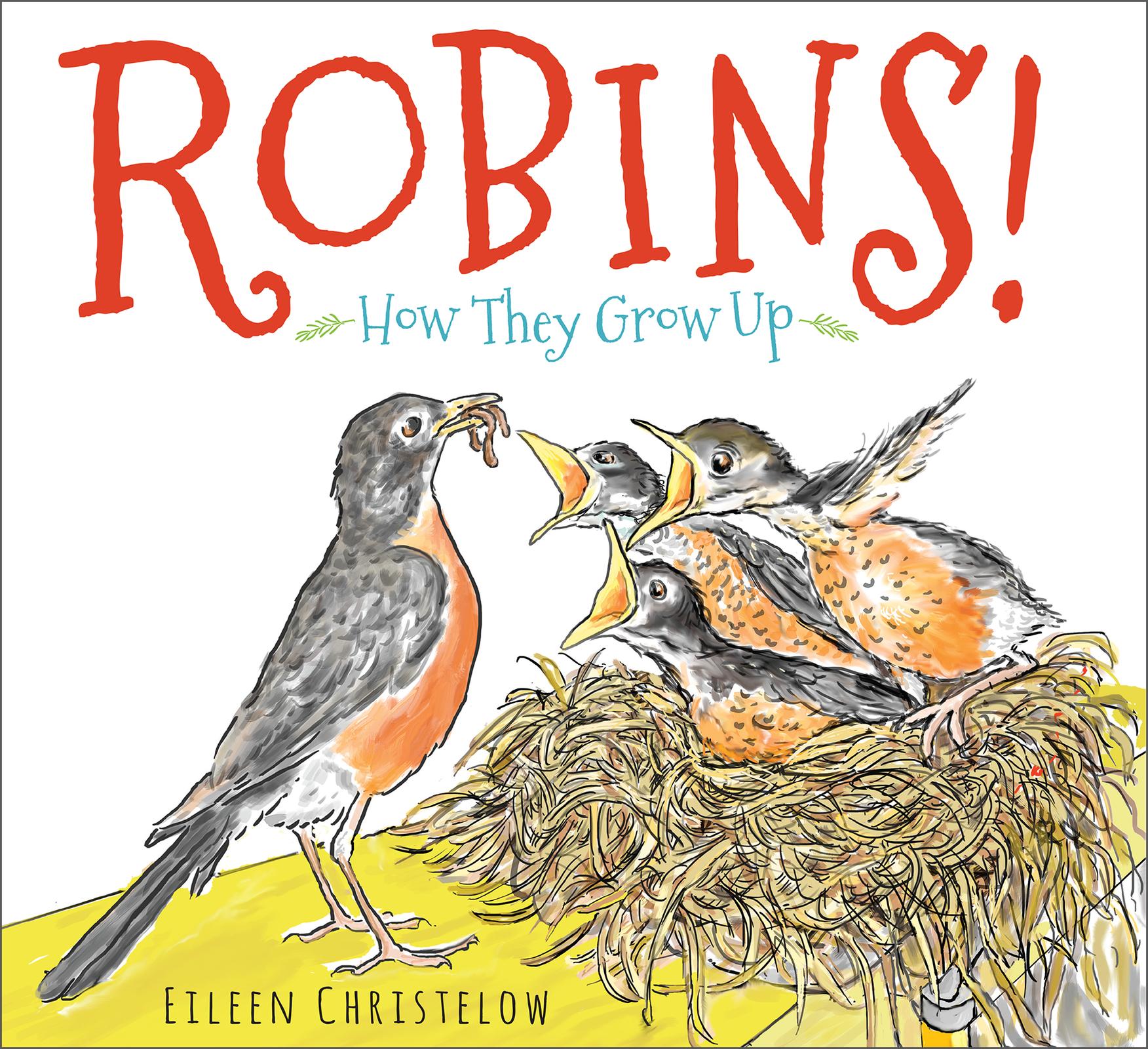 Vorderes Coverbild Robins!