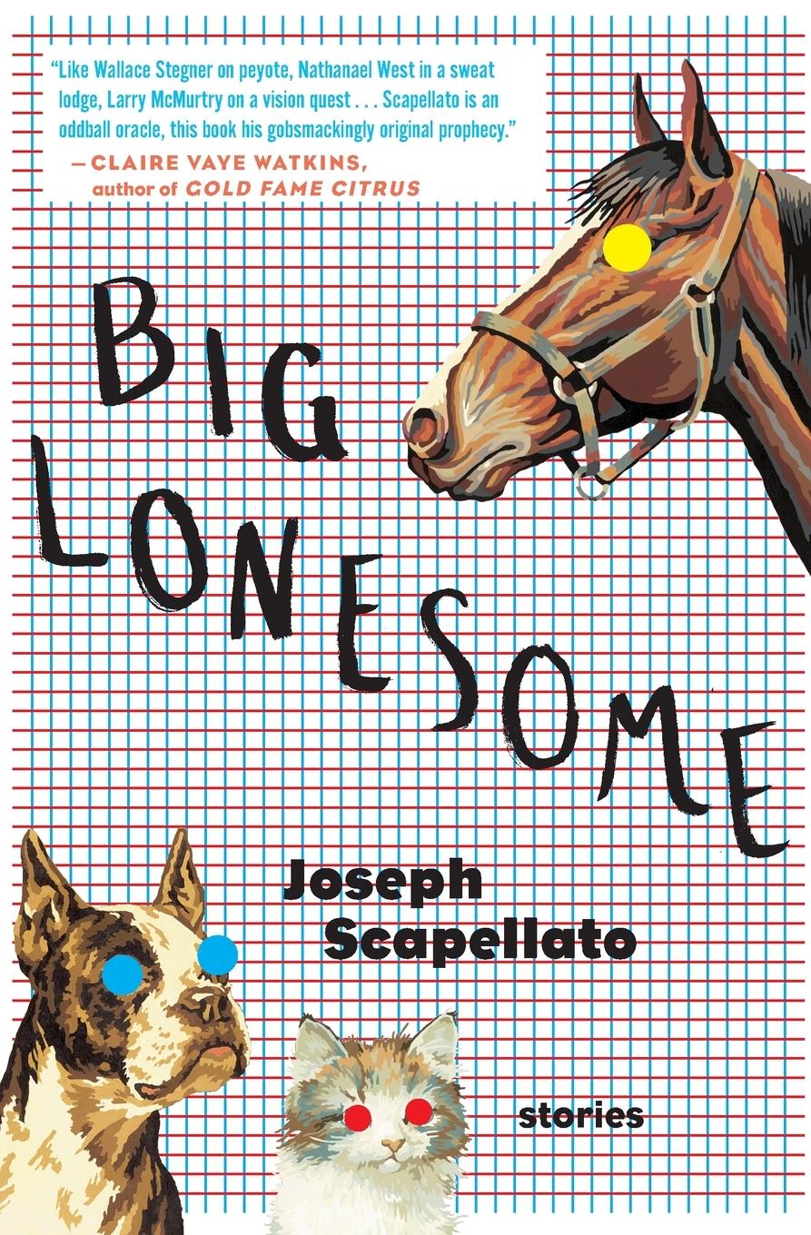 Vorderes Coverbild Big Lonesome