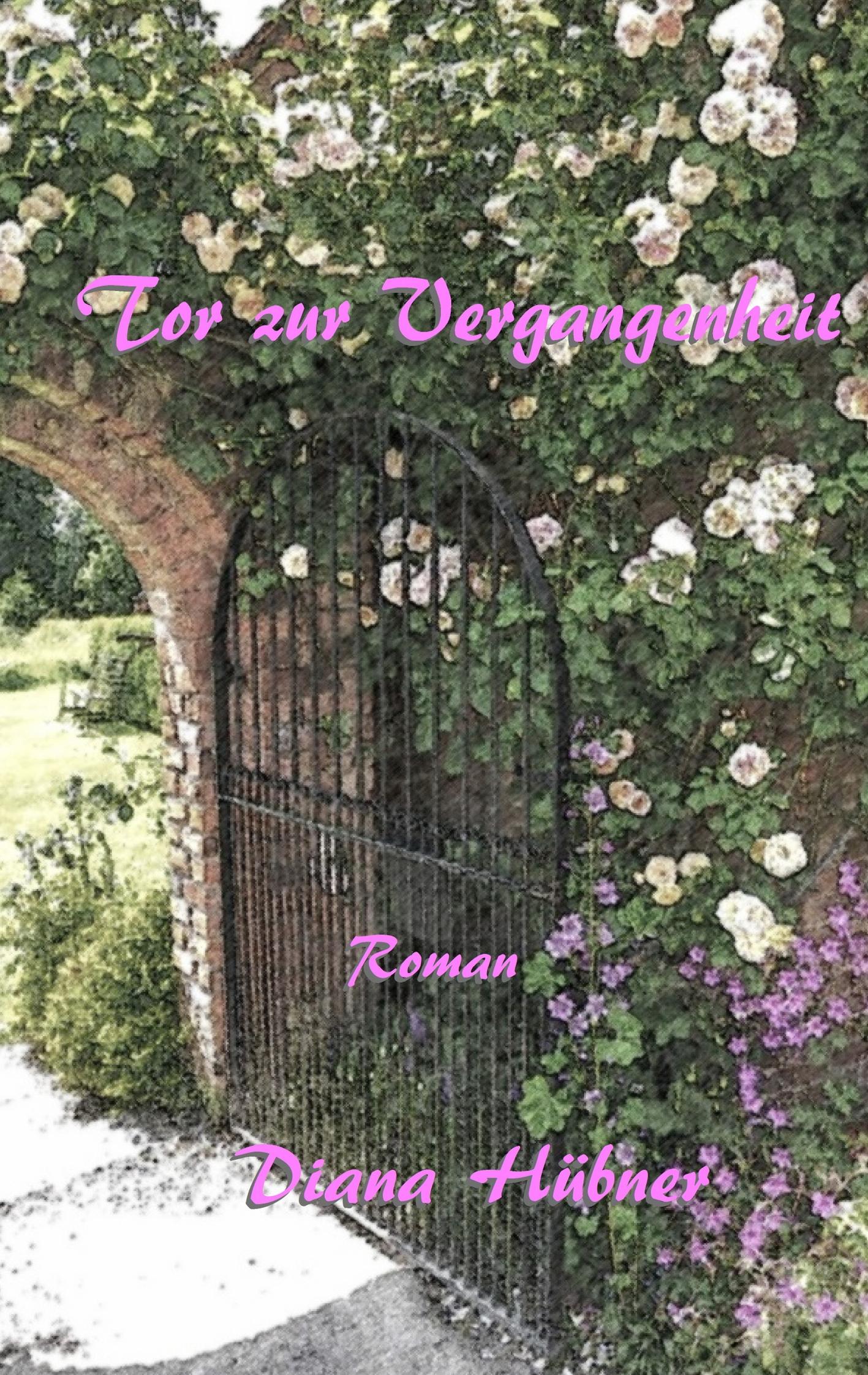Vorderes Coverbild Tor zur Vergangenheit