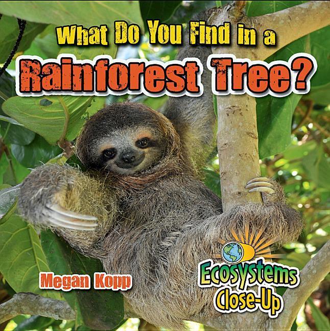 Vorderes Coverbild What Do You Find in a Rainforest Tree?