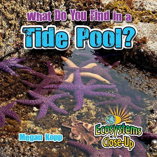 Vorderes Coverbild What Do You Find in a Tide Pool?