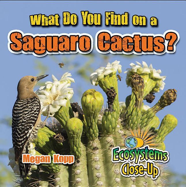 Vorderes Coverbild What Do You Find on a Saguaro Cactus?