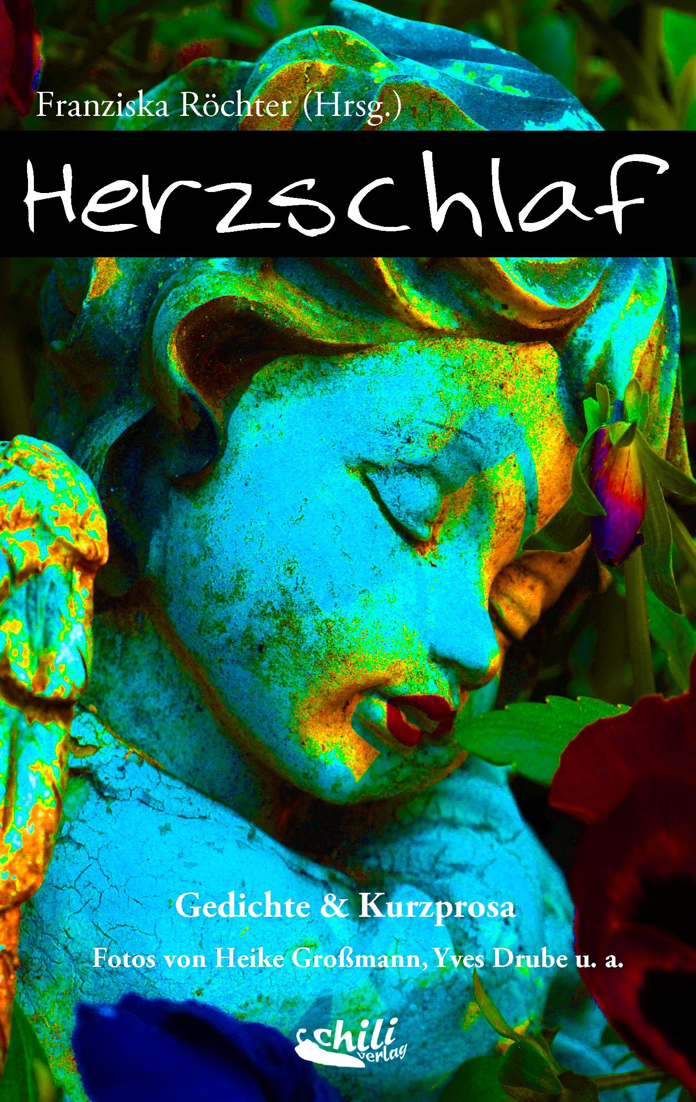 Vorderes Coverbild Herzschlaf