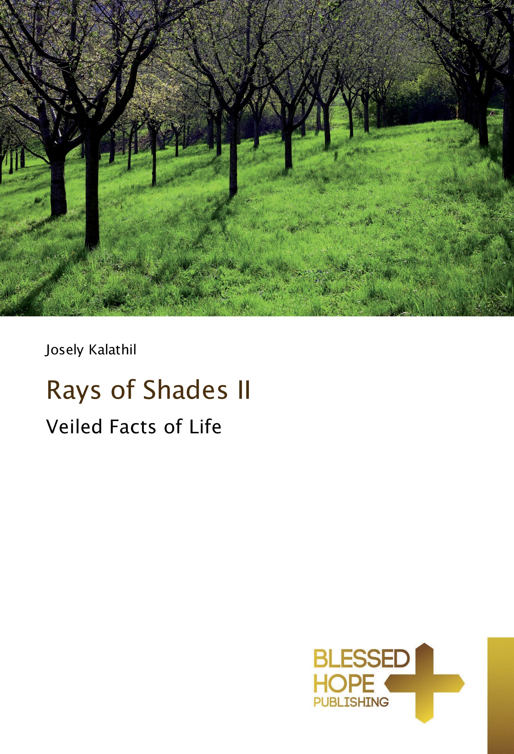 Vorderes Coverbild Rays of Shades II