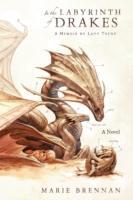 Vorderes Coverbild In the Labyrinth of Drakes