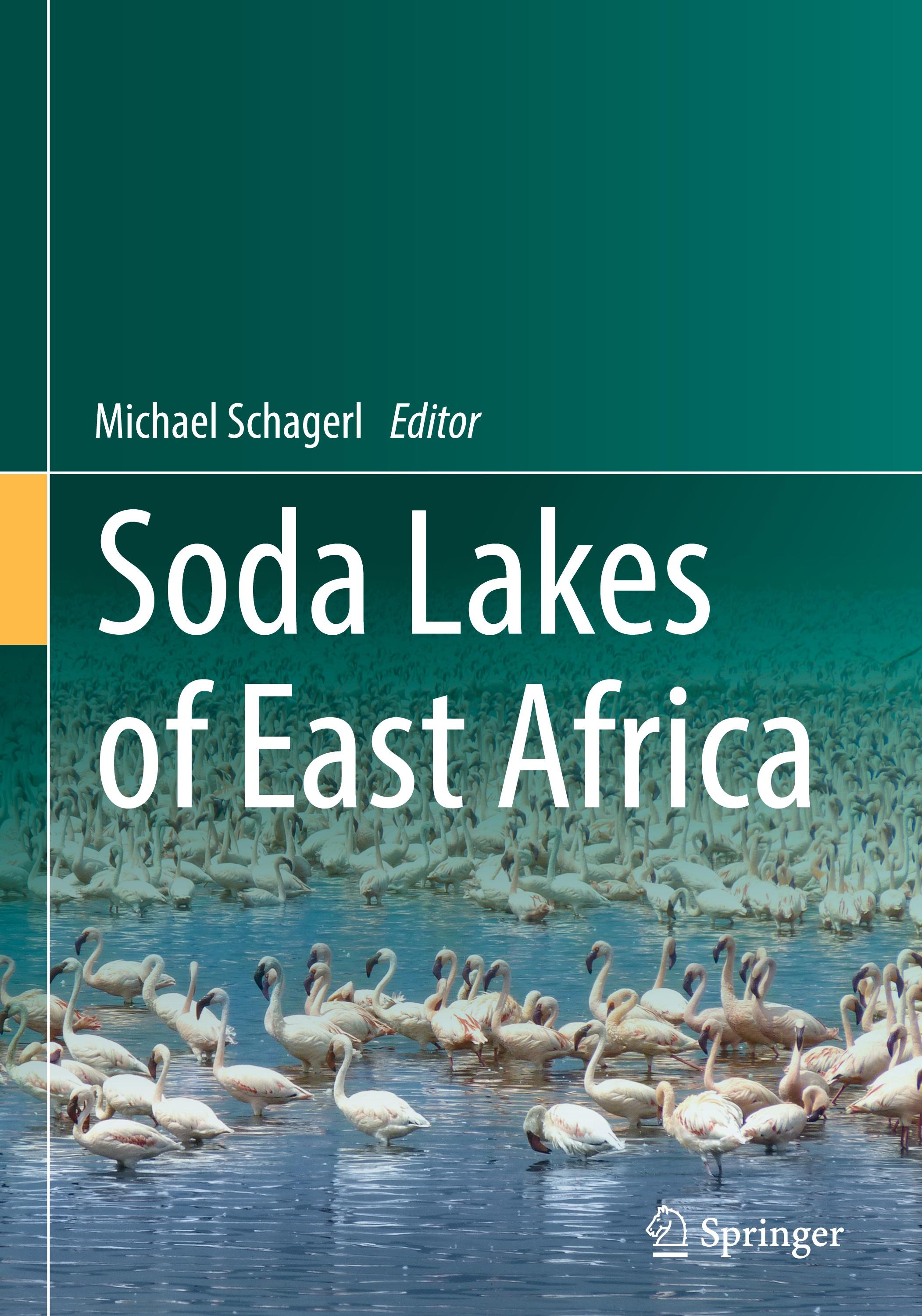 Vorderes Coverbild Soda Lakes of East Africa