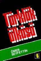 Vorderes Coverbild Türklük Ülküsü