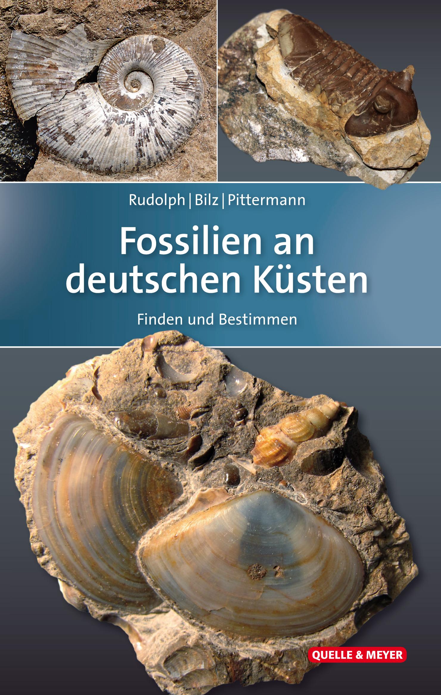 Vorderes Coverbild Fossilien an deutschen Küsten