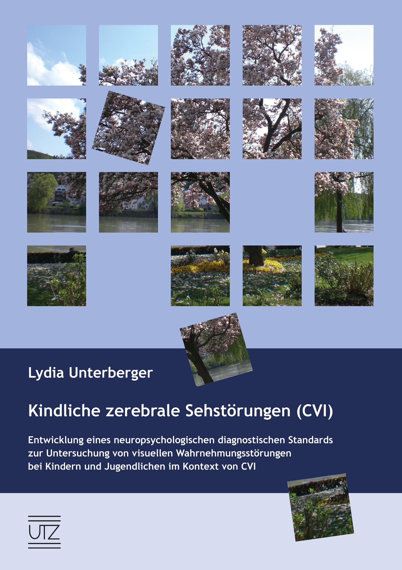 Vorderes Coverbild Kindliche zerebrale Sehstörungen (CVI)