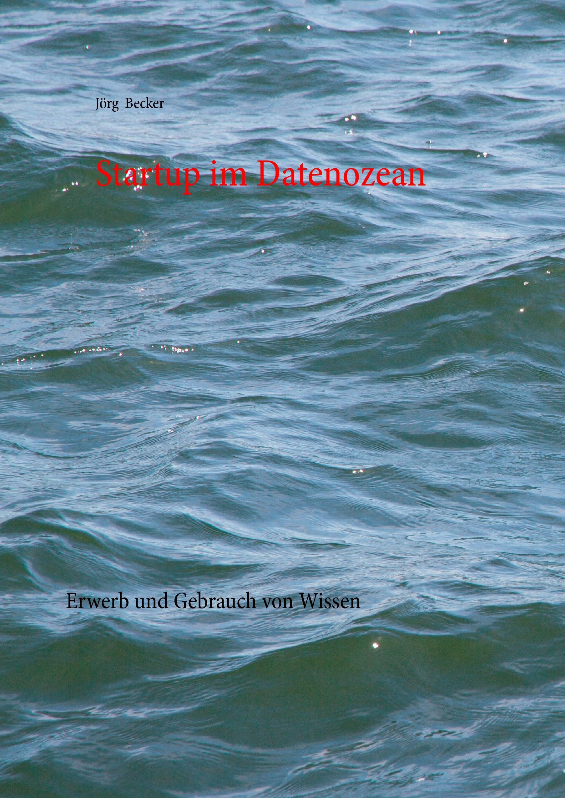 Vorderes Coverbild Startup im Datenozean