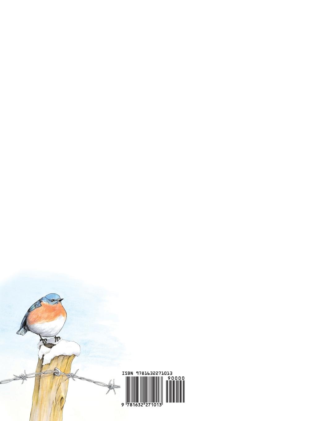 Rückseitencover Waiting Through Winter