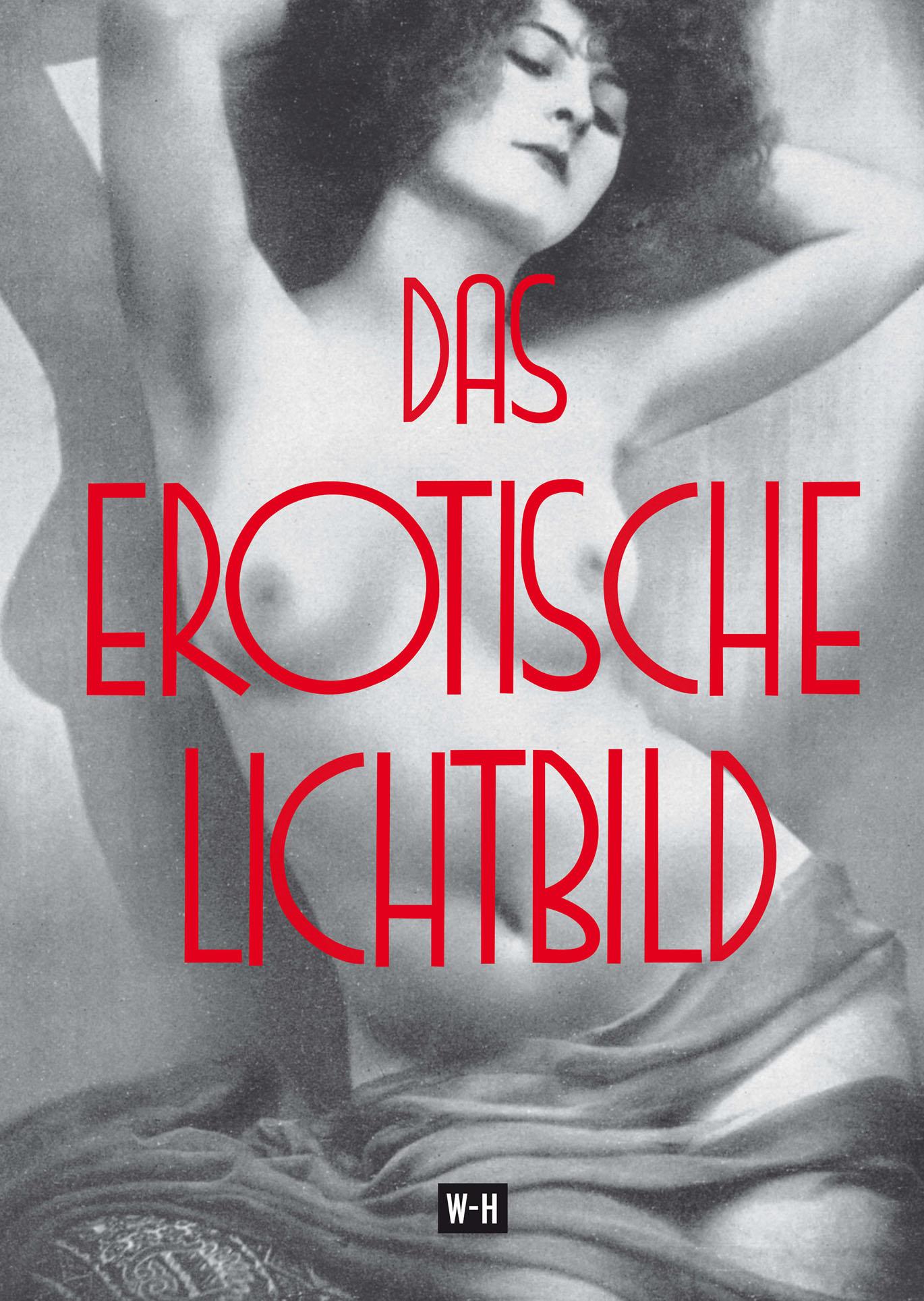 Vorderes Coverbild Das erotische Lichtbild