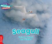 Vorderes Coverbild Cambridge Reading Adventures Seagull Red Band