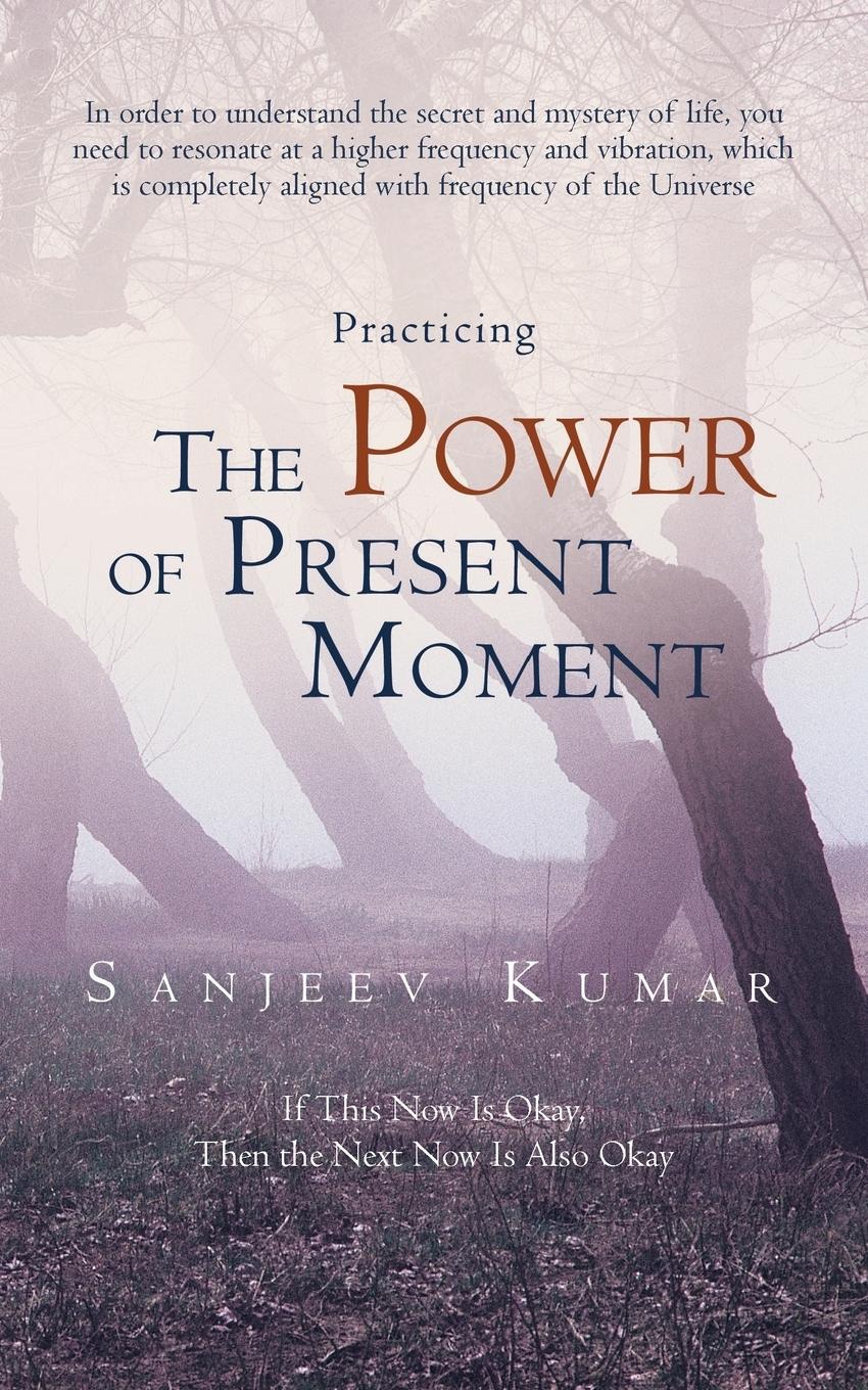 Vorderes Coverbild Practicing the Power of Present Moment