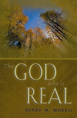 Vorderes Coverbild The God Who is Real