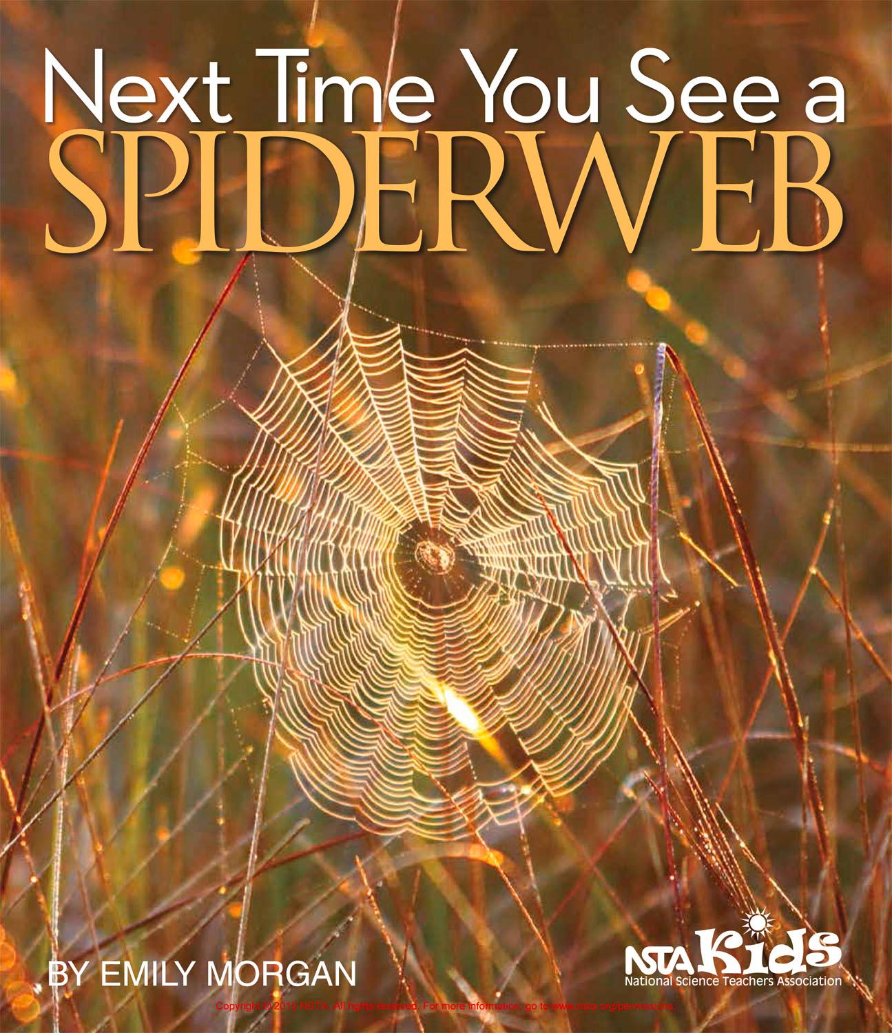 Vorderes Coverbild Next Time You See a Spiderweb