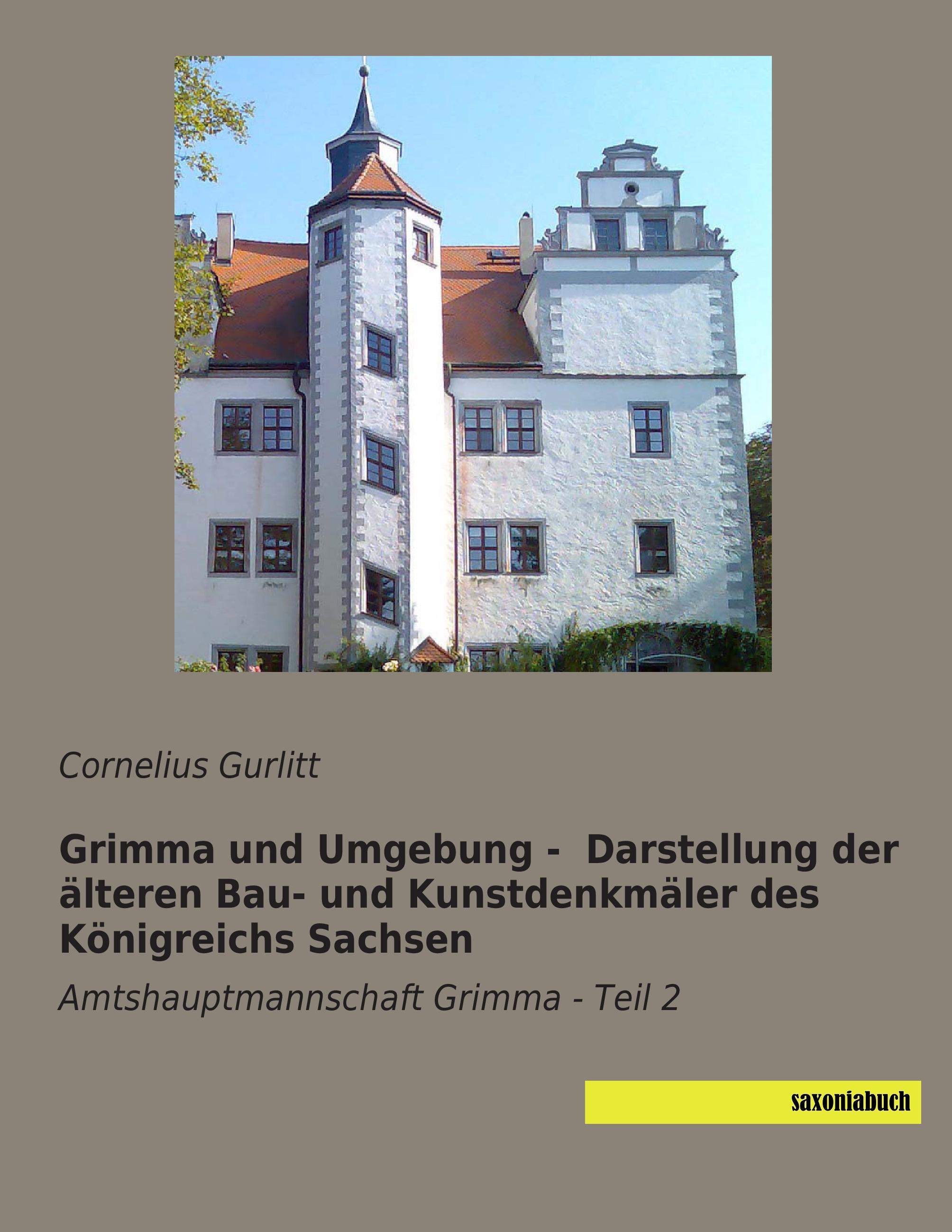 Vorderes Coverbild Grimma und Umgebung -  Darstellung der älteren Bau- und Kunstdenkmäler des Königreichs Sachsen