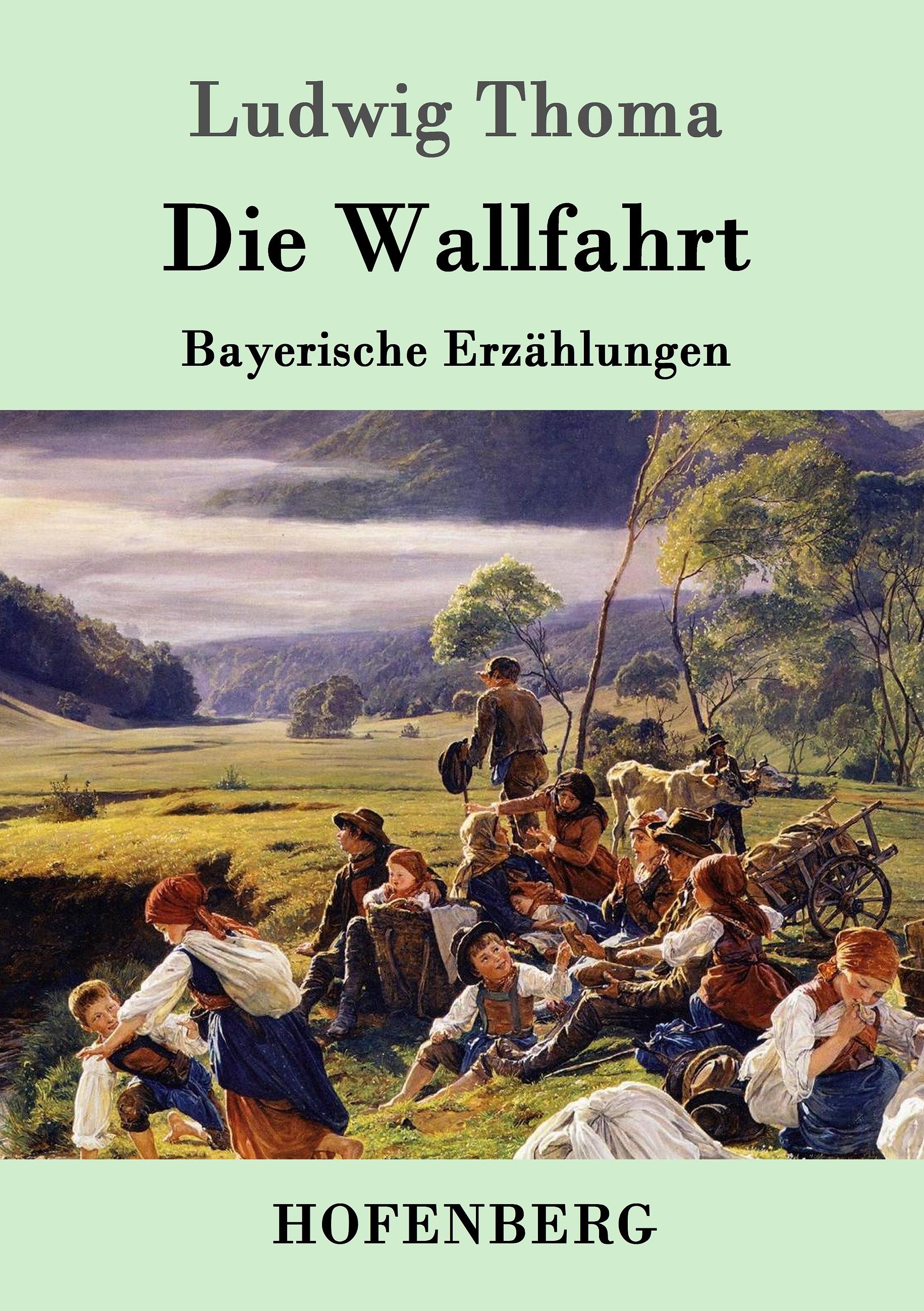 Vorderes Coverbild Die Wallfahrt