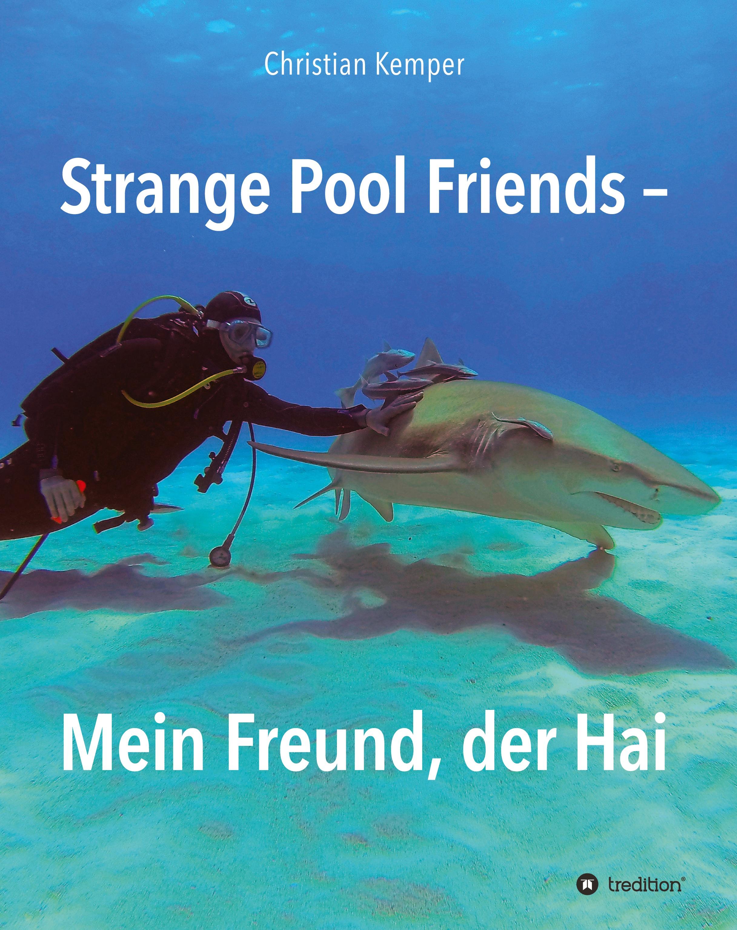 Vorderes Coverbild Strange Pool Friends