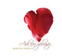 Vorderes Coverbild Ask Icin Gelmisiz