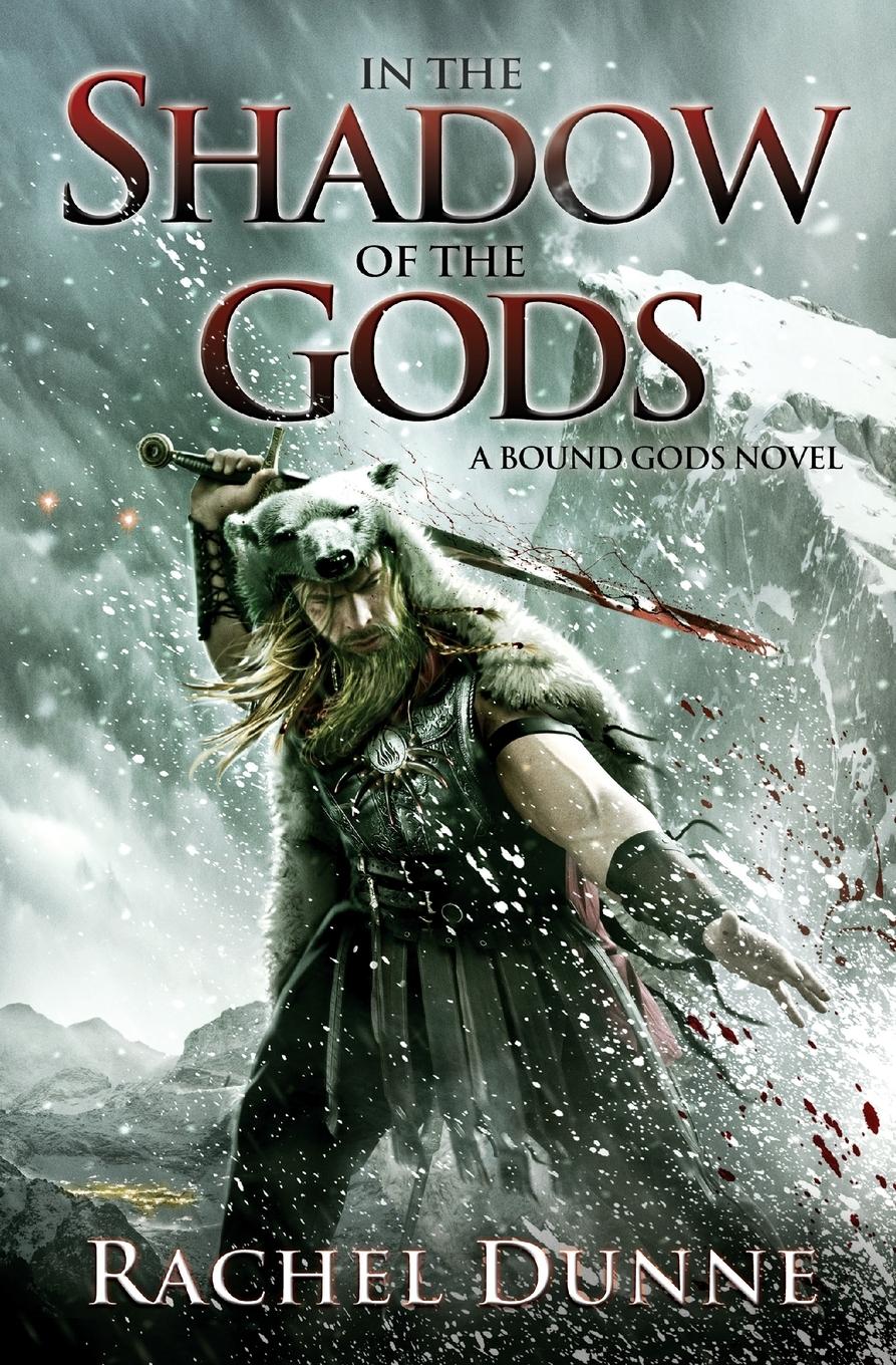 Vorderes Coverbild IN SHADOW GODS              PB