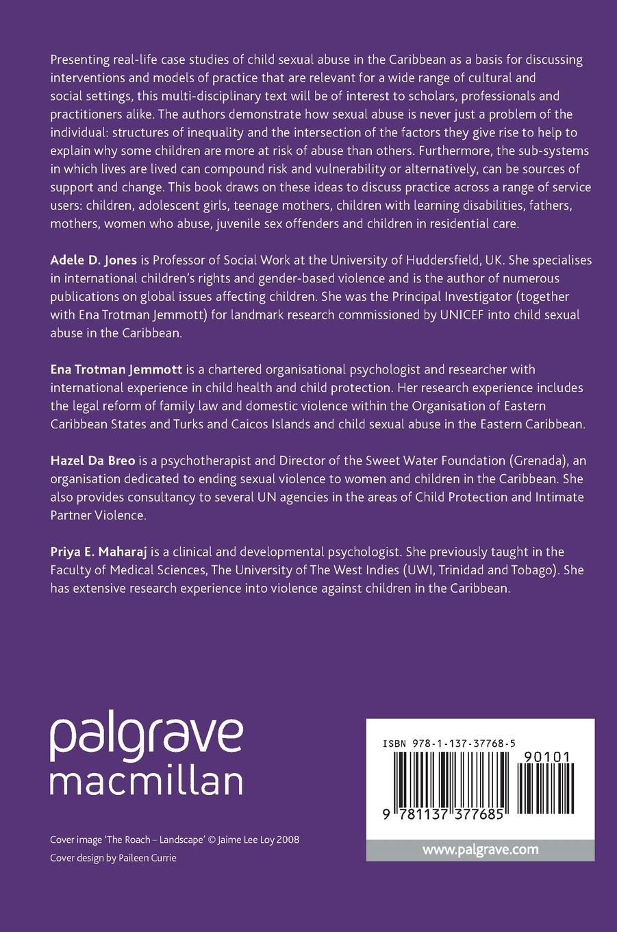 Rückseitencover Treating Child Sexual Abuse in Family, Group and Clinical Settings