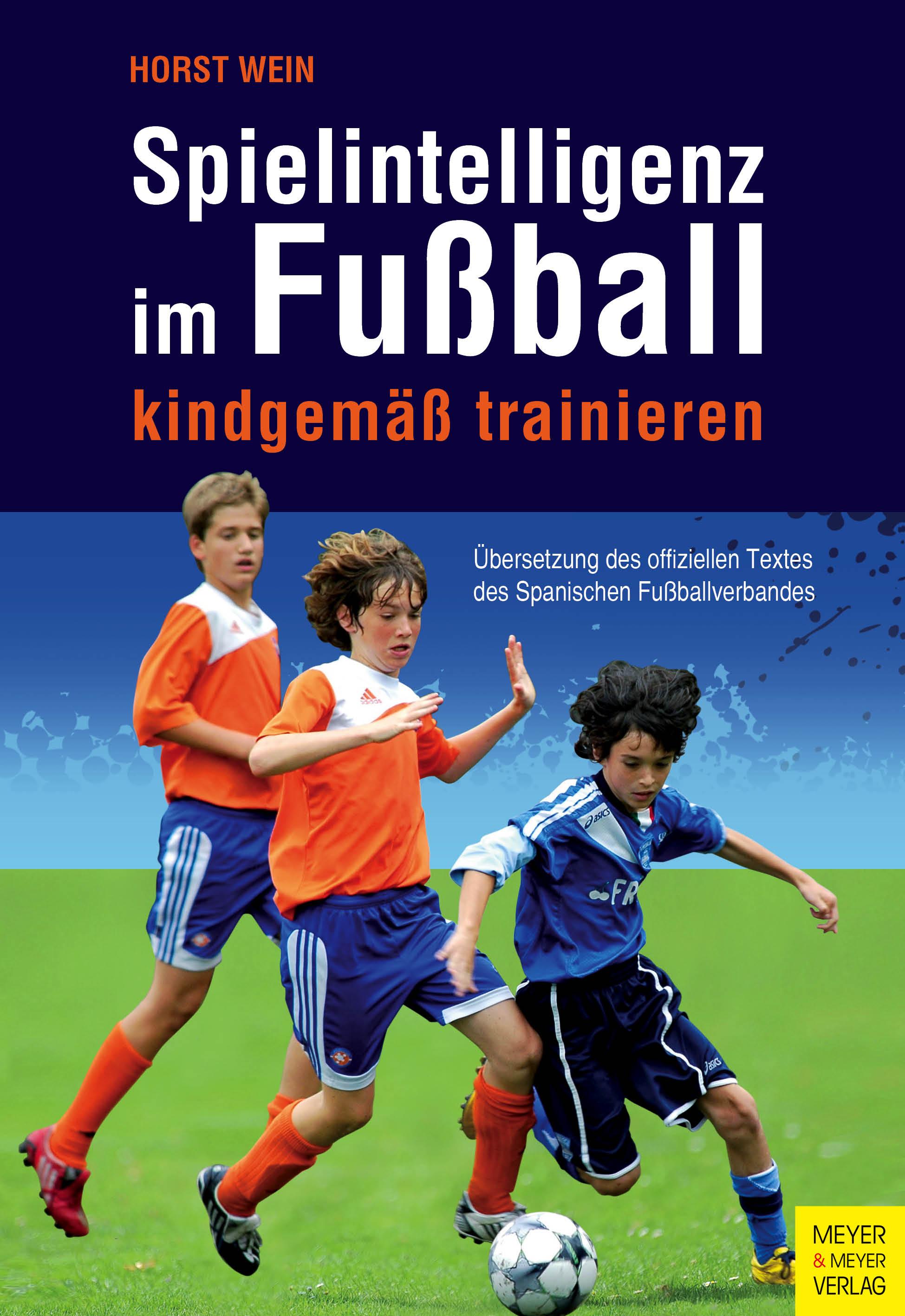 Vorderes Coverbild Spielintelligenz im Fußball