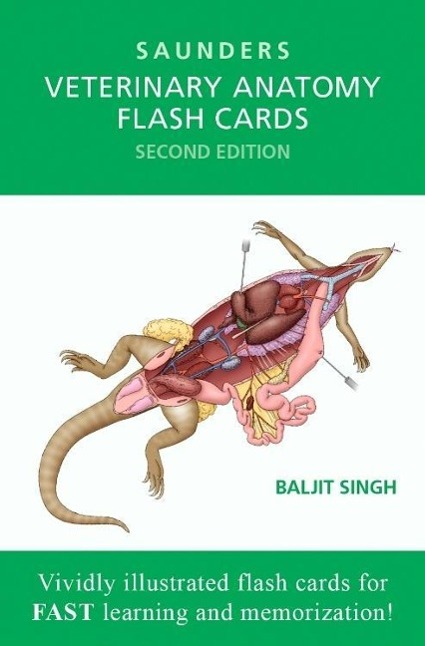 Vorderes Coverbild Veterinary Anatomy Flash Cards