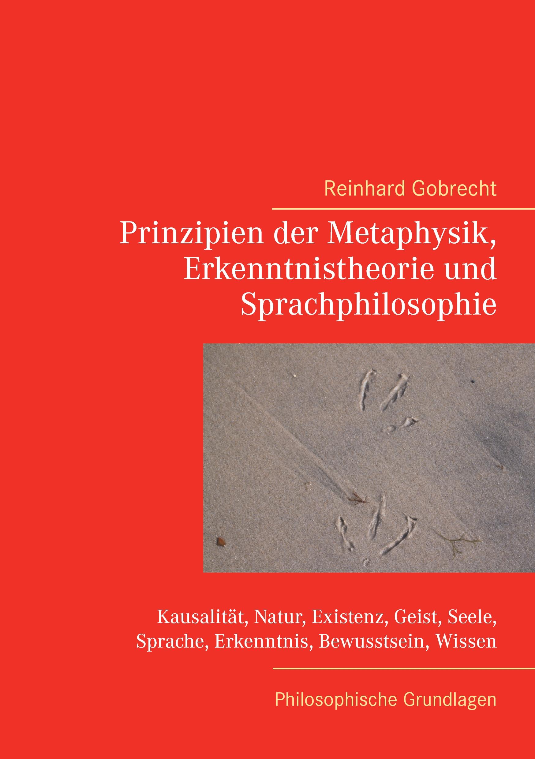 Vorderes Coverbild Prinzipien der Metaphysik, Erkenntnistheorie und Sprachphilosophie